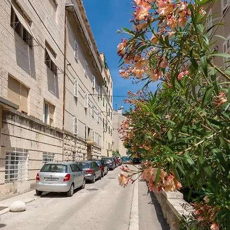 Luxury Silente Bacvice 1 招待所